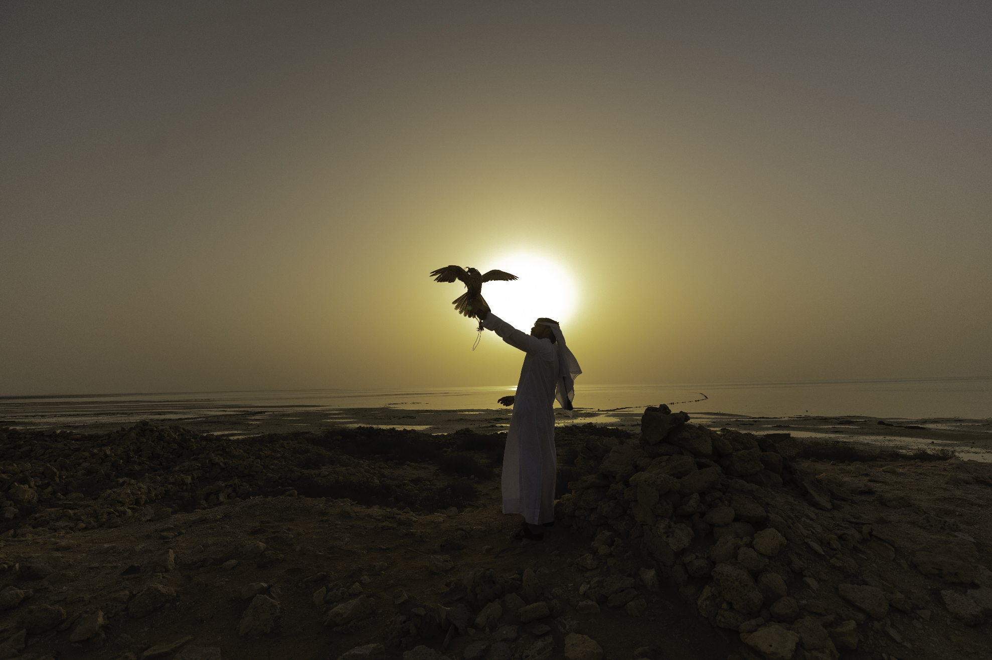 Катарская соколиная охота — real photograph of Qatar, AL KHALIDIAH TOURISM private tours